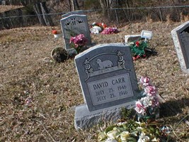 David Carr David Carr