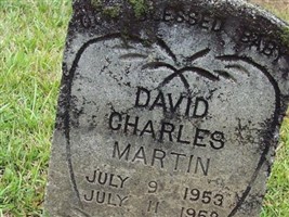 David Charles Martin