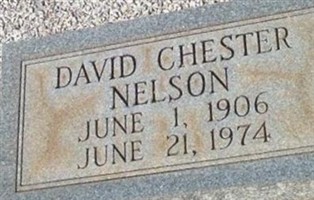 David Chester Nelson David Chester Nelson
