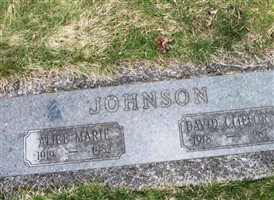 David Clifford Johnson