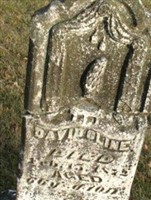 David Cline David Cline