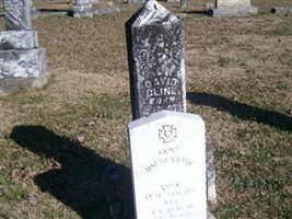 David Cline David Cline