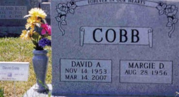 David Cobb David Cobb