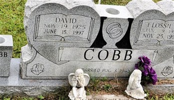 David Cobb