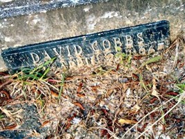 David Cobbs David Cobbs