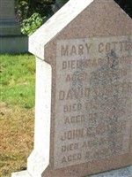 David Cotter