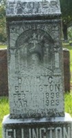 David Crockett Ellington