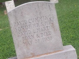David Cummings Martin