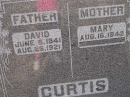 David Curtis David Curtis