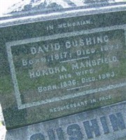 David Cushing David Cushing