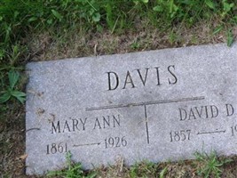 David D Davis David D Davis