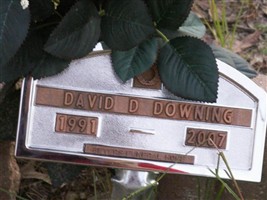 David D Downing David D Downing