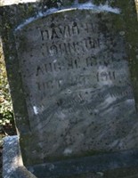 David D Johnson