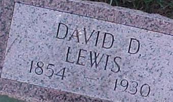 David D Lewis