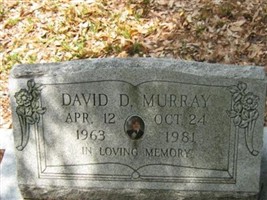 David D. Murray David D. Murray