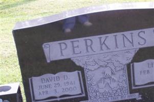 David D Perkins