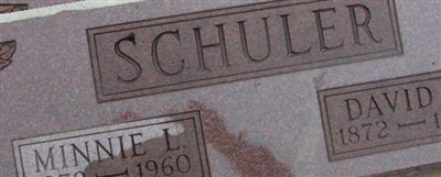 David D Schuler David D Schuler