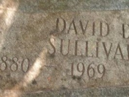 David D Sullivan David D Sullivan