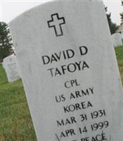 David D Tafoya