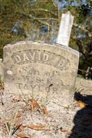 David D Taylor