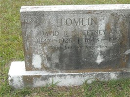 David D Tomlin