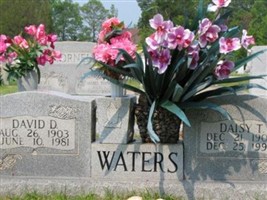 David D Waters David D Waters