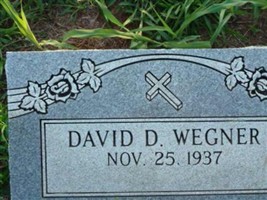 David D. Wegner David D. Wegner