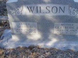 David D. Wilson