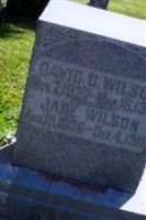 David D Wilson