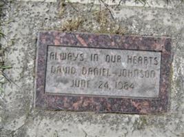 David Daniel Johnson