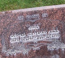 David 'Dave' Lynden Lee David 'Dave' Lynden Lee