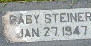 David Dean Steiner