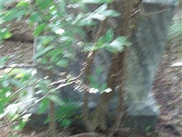 David Dudley Mullins