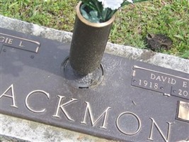 David E Backmon David E Backmon