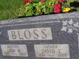 David E. Bloss