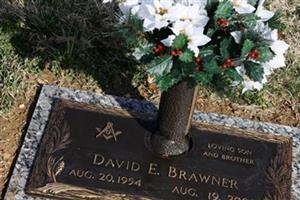 David E Brawner