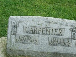 David E Carpenter David E Carpenter