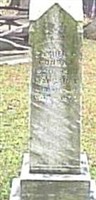 David E. Conrad David E. Conrad