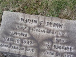 David E Elkin David E Elkin