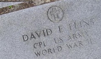 David E. Flint David E. Flint