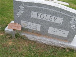 David E Foley, Jr David E Foley, Jr