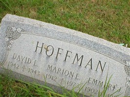 David E Hoffman David E Hoffman