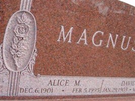 David E Magnuson David E Magnuson