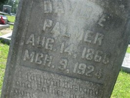 David E Palmer David E Palmer