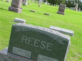 David E Reese David E Reese