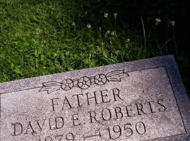 David E Roberts