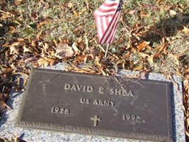 David E Shea