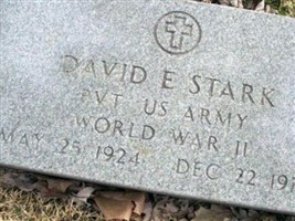 David E. Stark