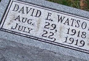 David E Watson David E Watson