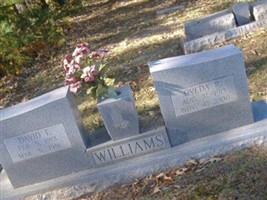 David E. Williams (2015768.jpg) David E. Williams (2015768.jpg)
